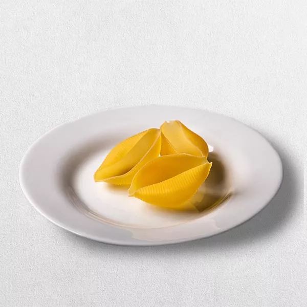 Fasson_produto_conchiglioni